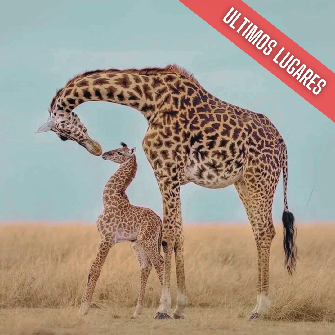 Kenia, Tanzania & Zanzibar