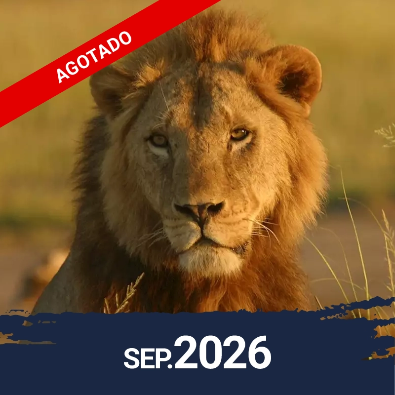 2026 – Kenya, Tanzania y Zanzíbar