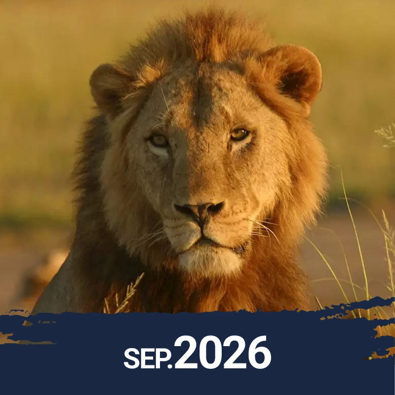 2026 – Kenya, Tanzania y Zanzíbar